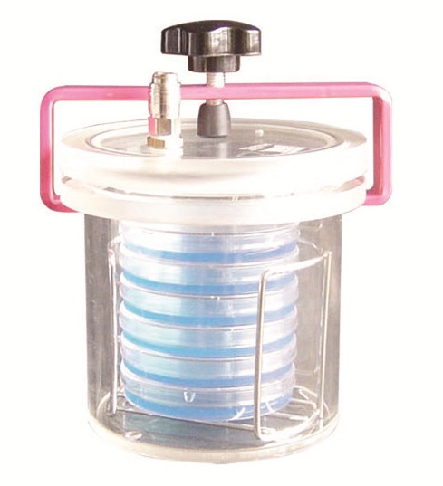 Buồng nuôi cấy kỵ khí 10 lít AG100